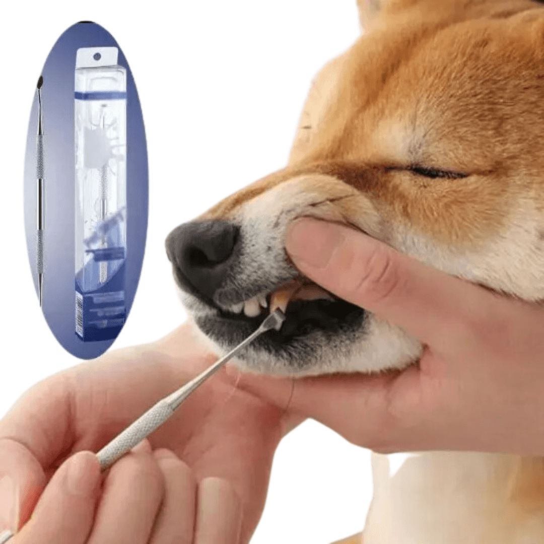 Higiene Bucal Removedor de Tártaro para PETS - O Chico Tem