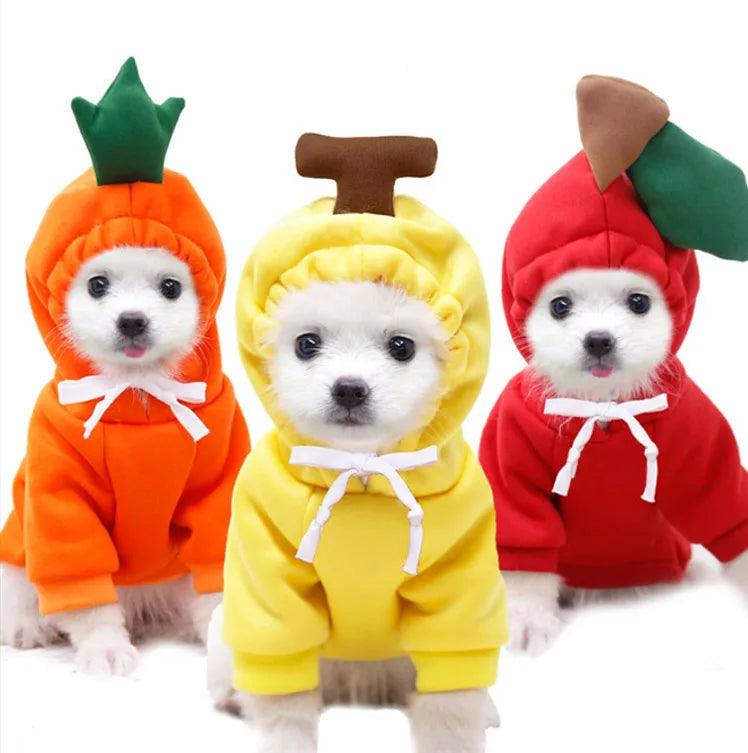 Roupa de Inverno Divertida para Cão - O Chico Tem