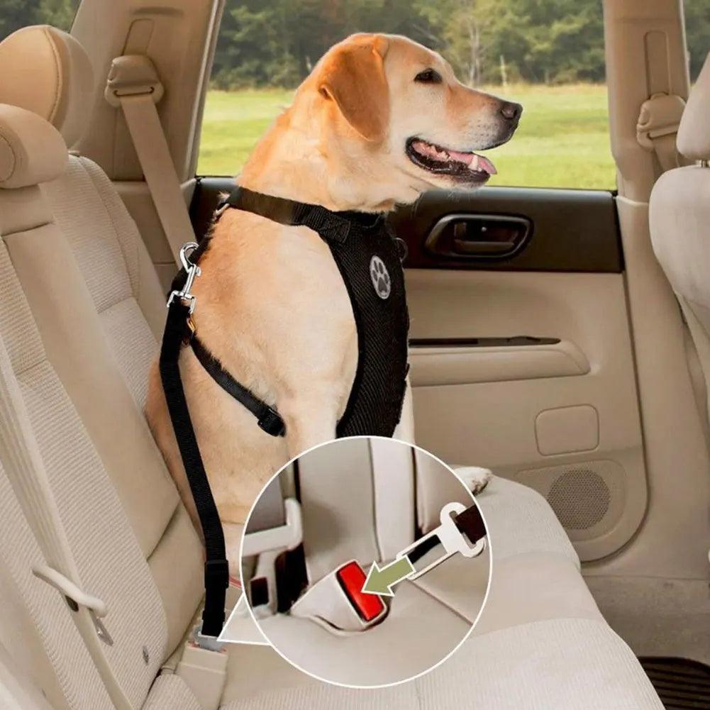 Peitoral e Guia para Transporte para Cães - O Chico Tem