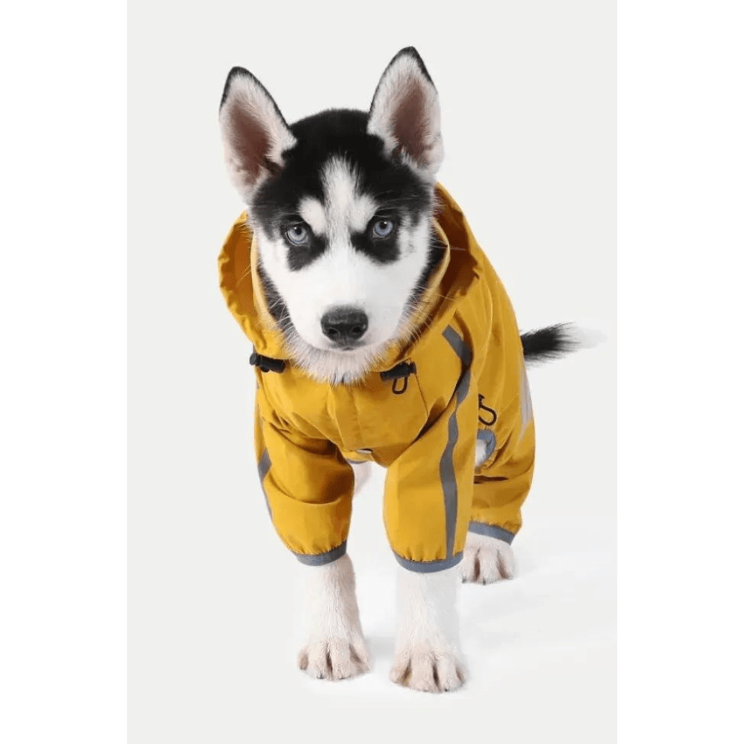 Capa de chuva para Cachorros - O Chico Tem