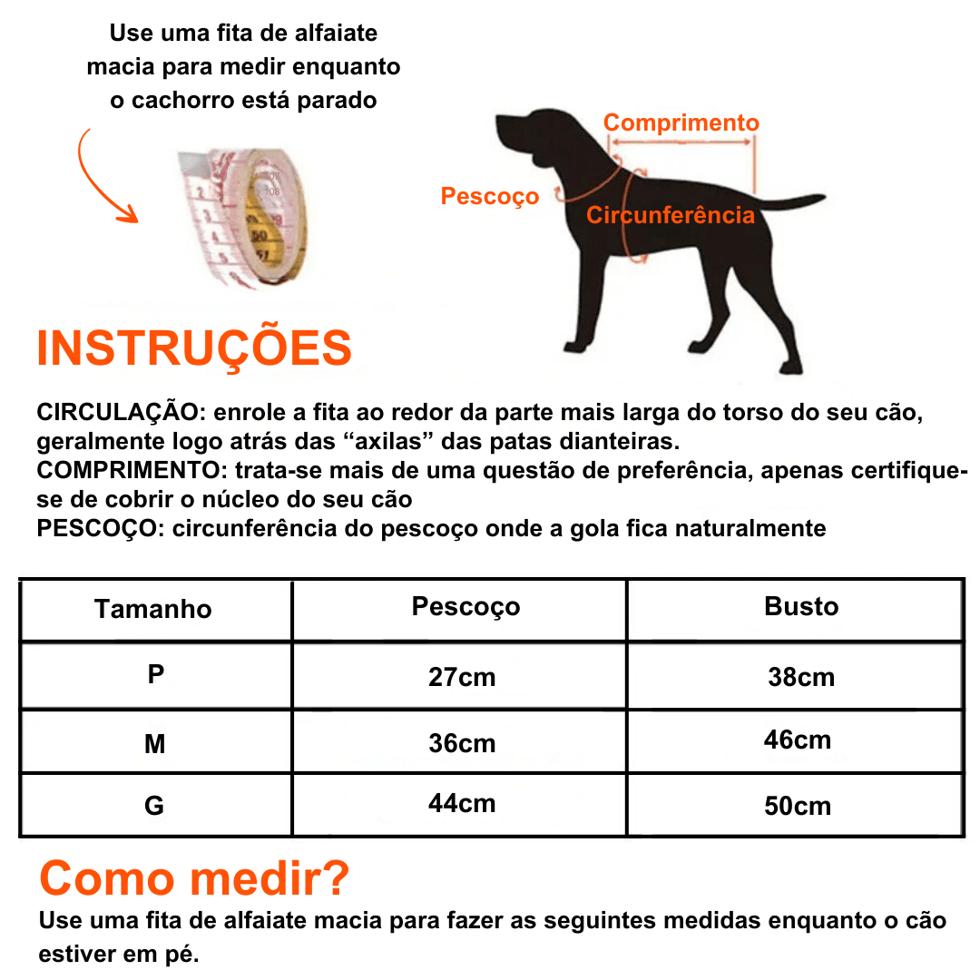 Conjunto Peitoral e Guia para Gatos - O Chico Tem