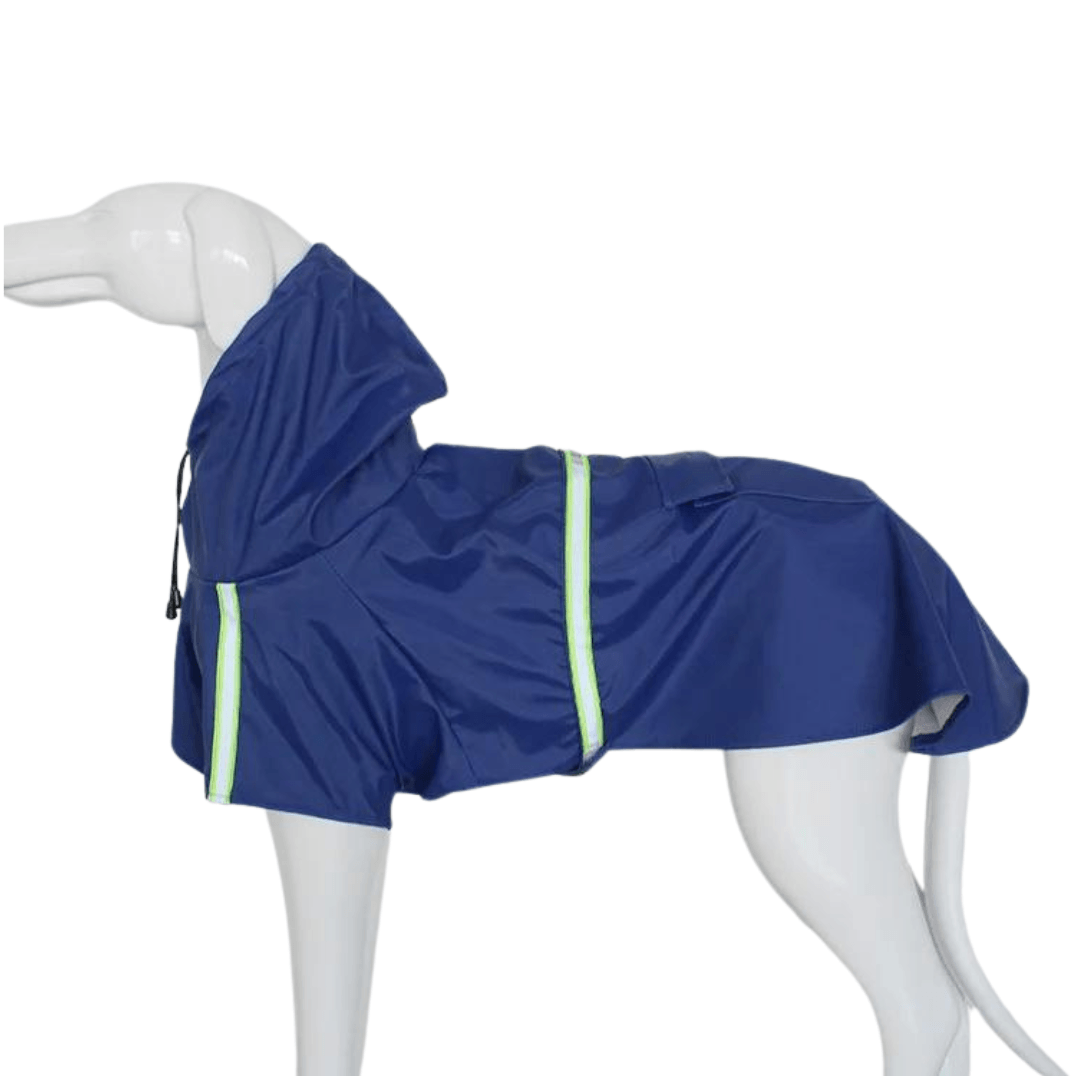 Capa de chuva com capuz para cães - O Chico Tem