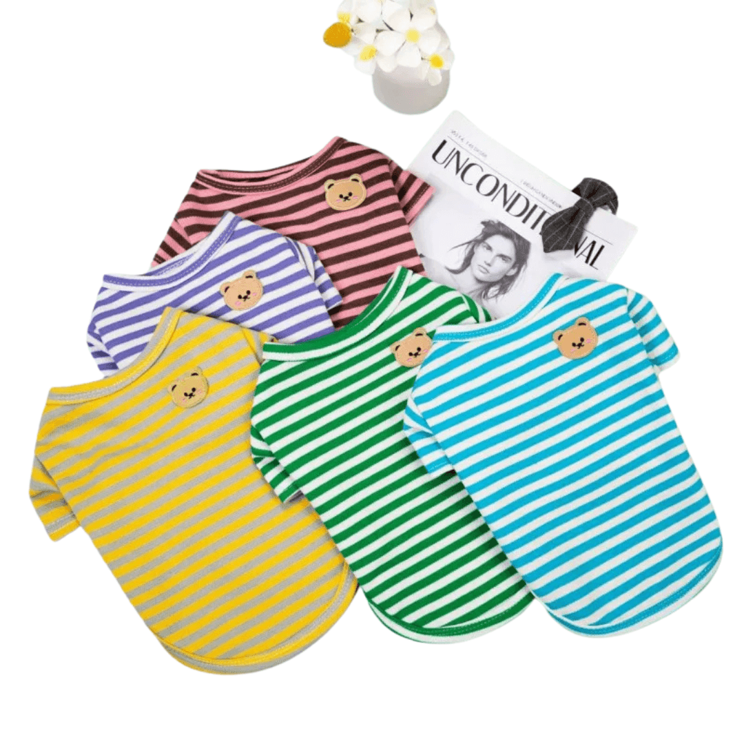 Roupas de verão para pets - O Chico Tem