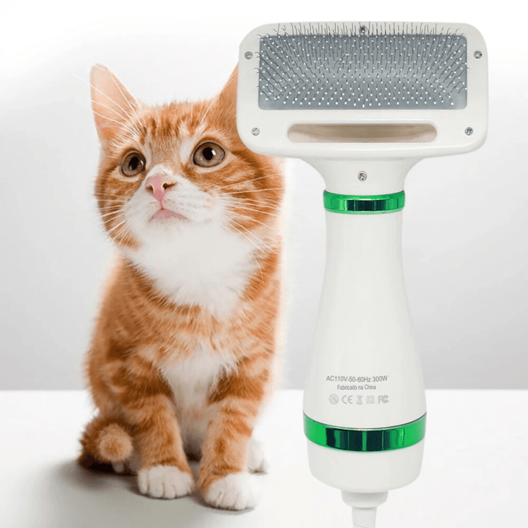Secador de Pelos para PETS - O Chico Tem