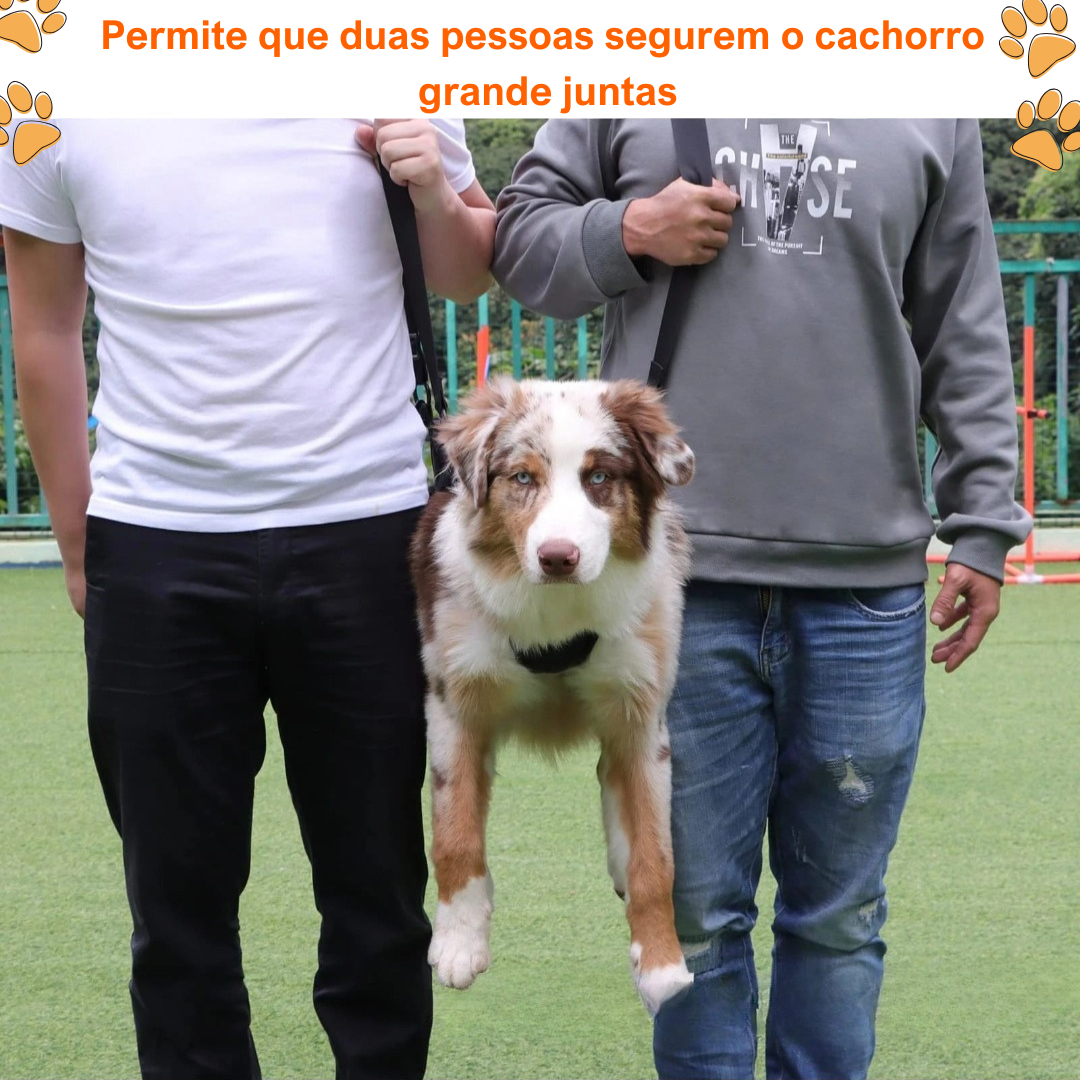 Suporte para Cães grande porte- Mobilidade e Conforto -  O Chico Tem