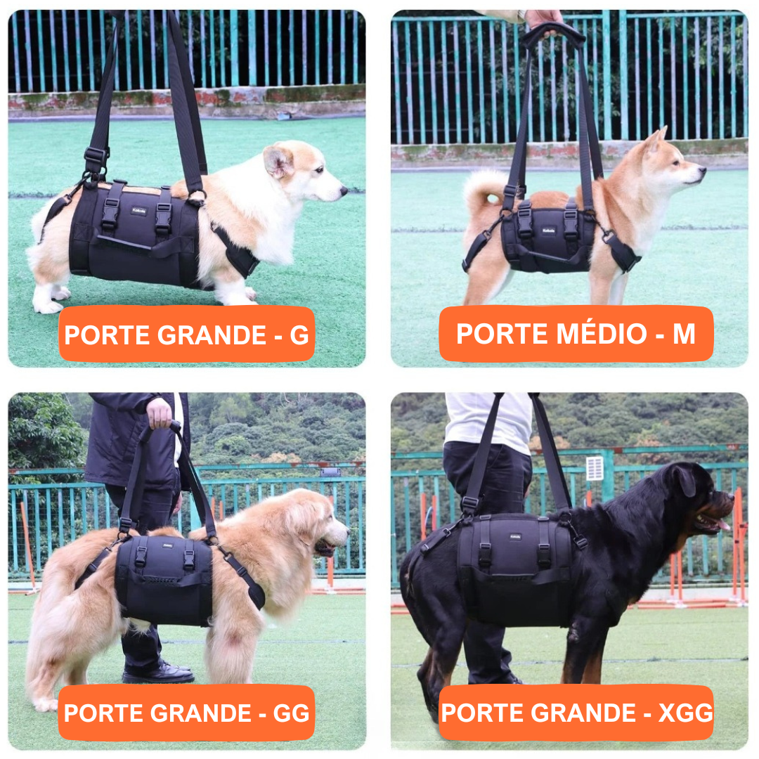 Suporte para Cães grande porte- Mobilidade e Conforto -  O Chico Tem