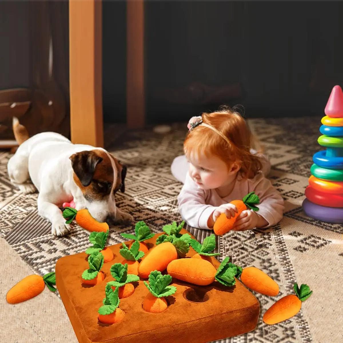 Horta de Pelúcia para PETS - O Chico Tem