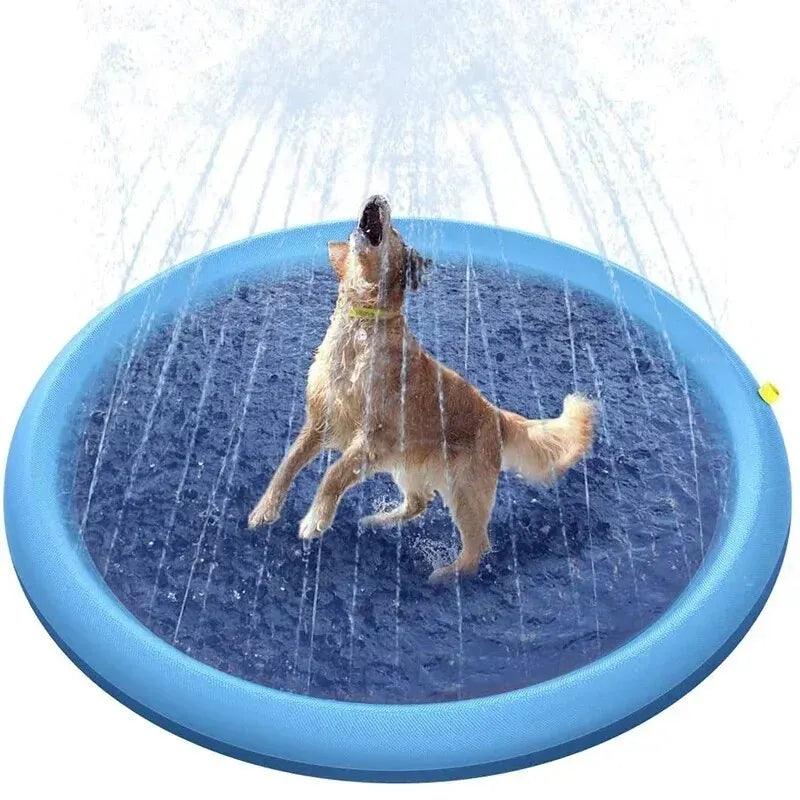Piscina Para PET - O Chico Tem