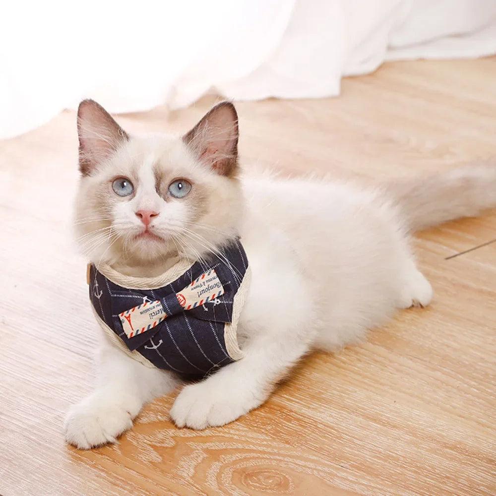 Conjunto Peitoral e Guia para Gatos - O Chico Tem