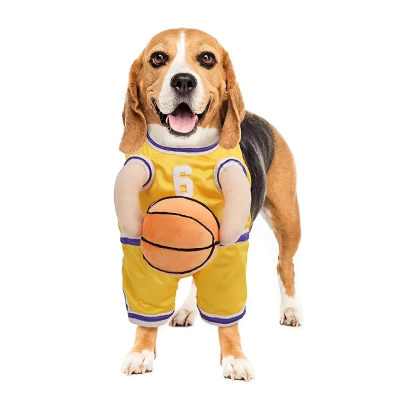 Roupa de Basquete para PETS - O Chico Tem