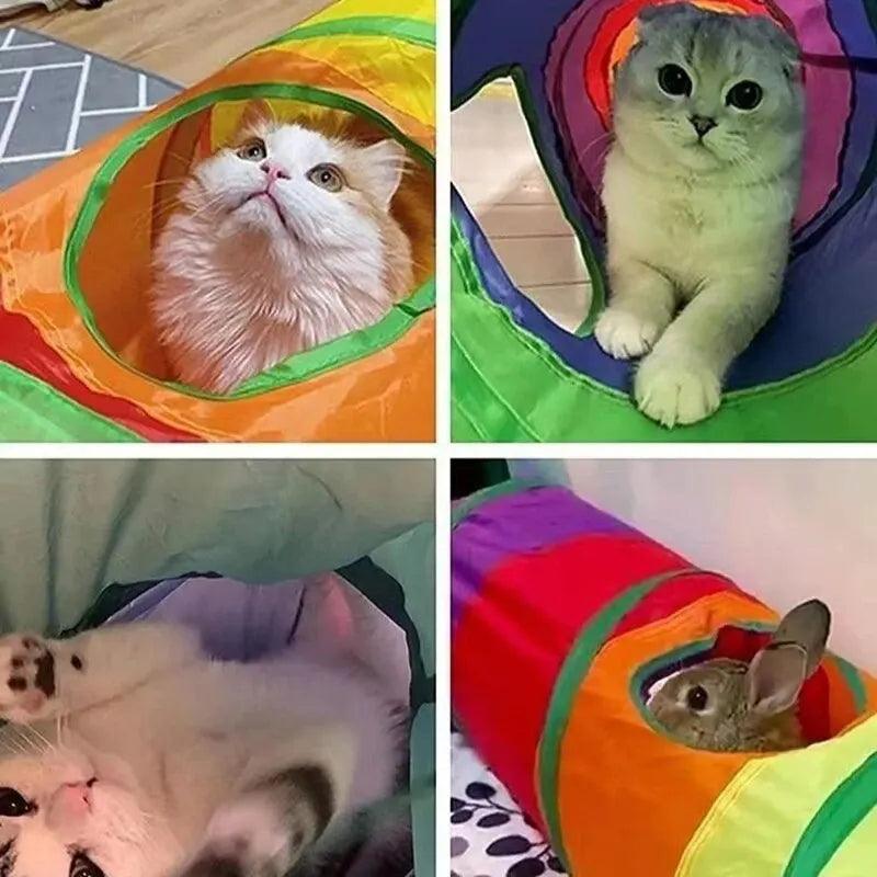 Túnel Para Gato - O Chico Tem