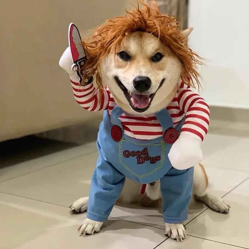 Fantasia Engraçada para PETS - O Chico Tem