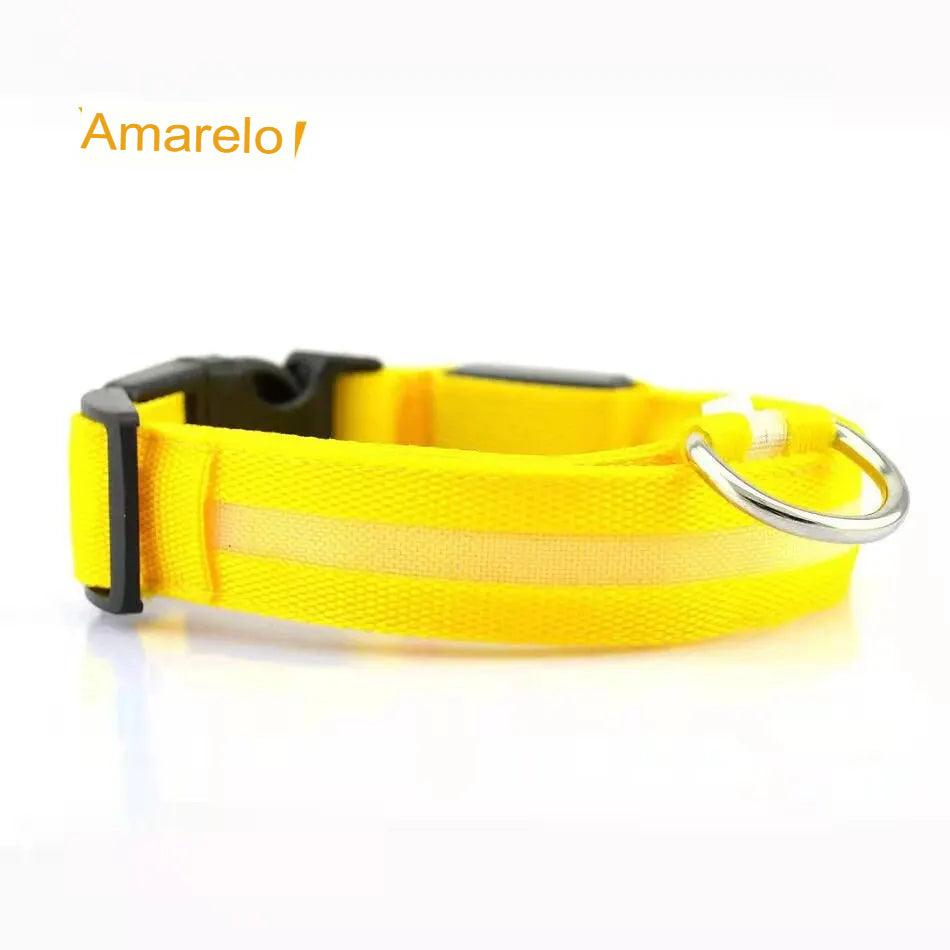 Coleira para pet Led Brilhante - O Chico Tem