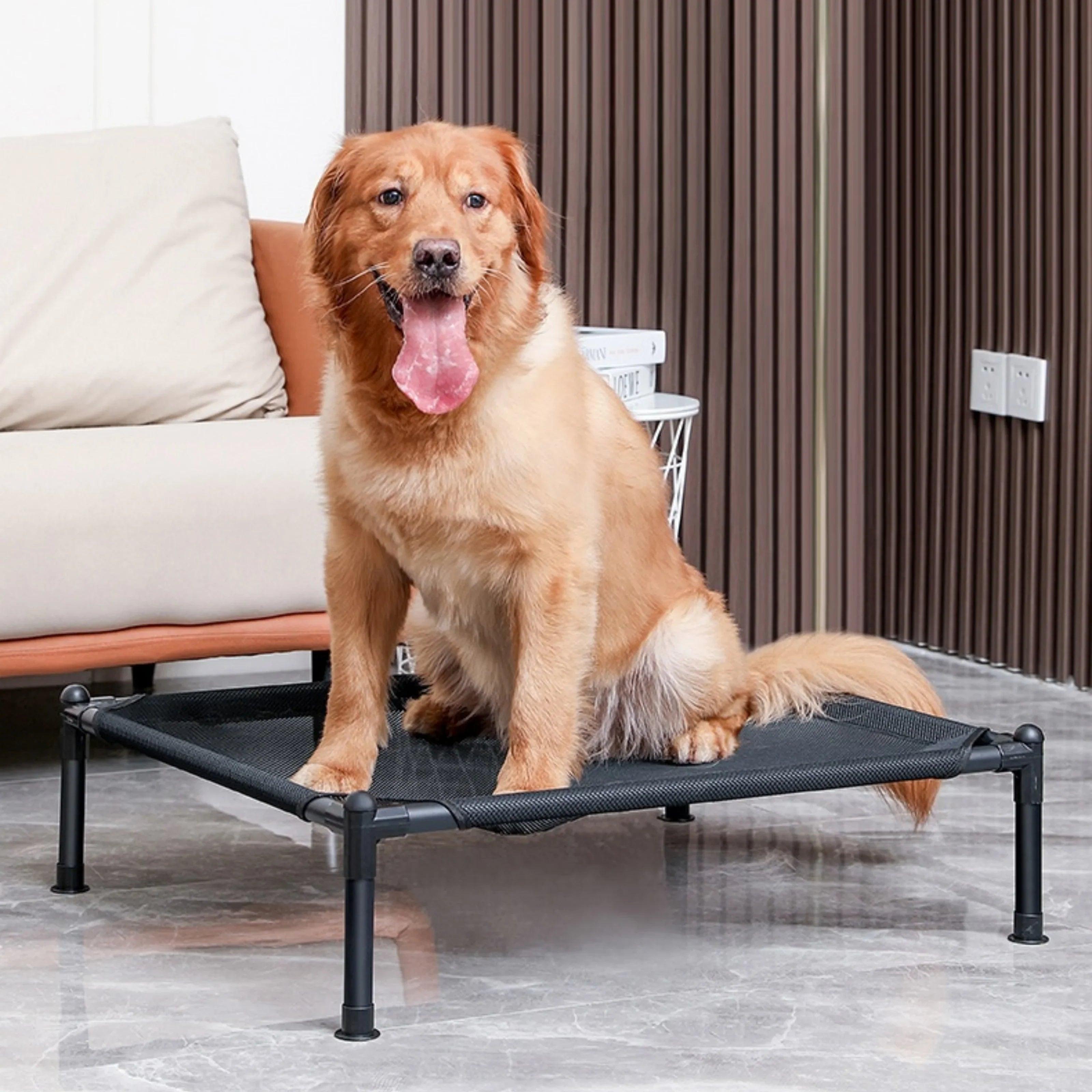 Cama elevada para pets - O Chico Tem