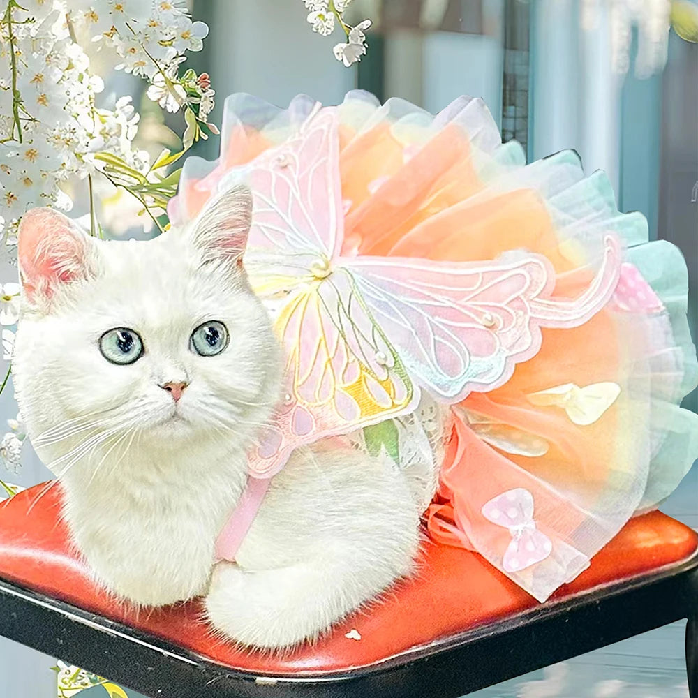 Fantasia de Princesa com Borboleta para PETS - O Chico Tem