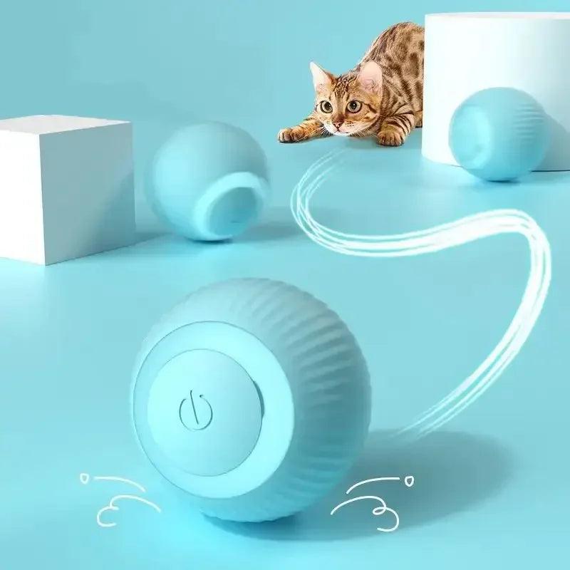 Bola Interativa Inteligente para Gatos - O Chico Tem