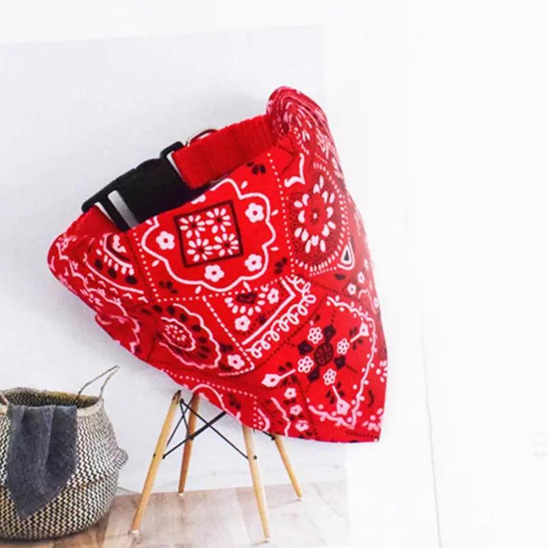 Lencinhos Tipo Bandanas de Pescoço para PETS - O Chico Tem
