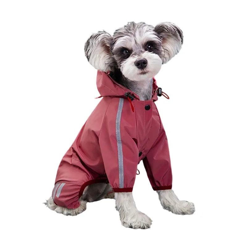 Capa de chuva para Cachorros - O Chico Tem