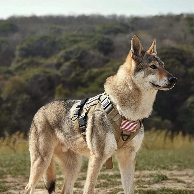 Colete para Cães Maiores - O Chico Tem
