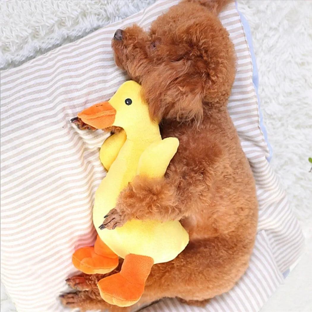 Pato de Pelúcia para PETS - O Chico Tem