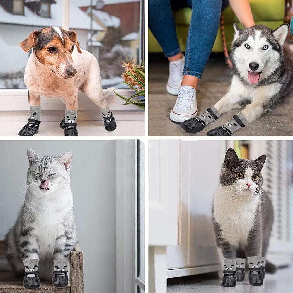 Meias Impermeáveis para PETS - O Chico Tem