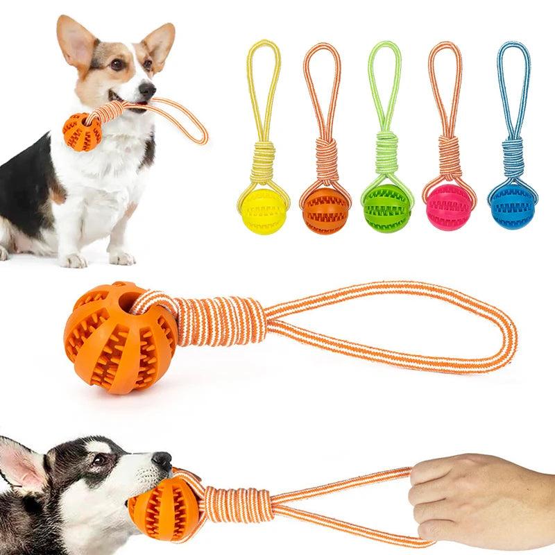 Bola Encaixe Petiscos com Corda para PETS - O Chico Tem
