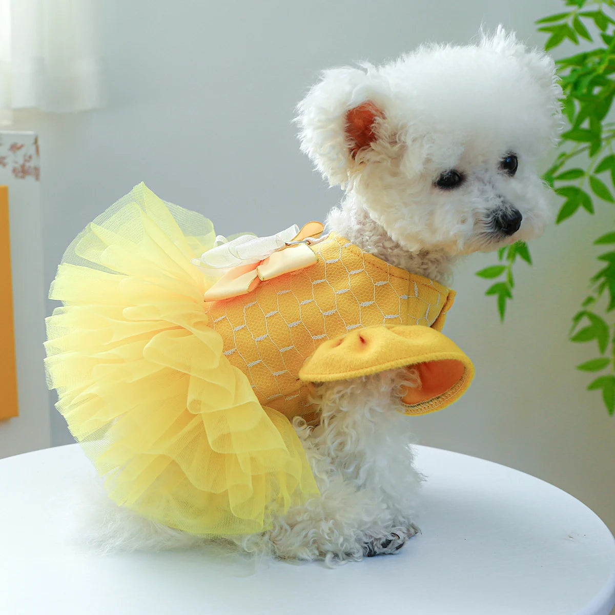 Vestido de Princesa para PET - O Chico Tem