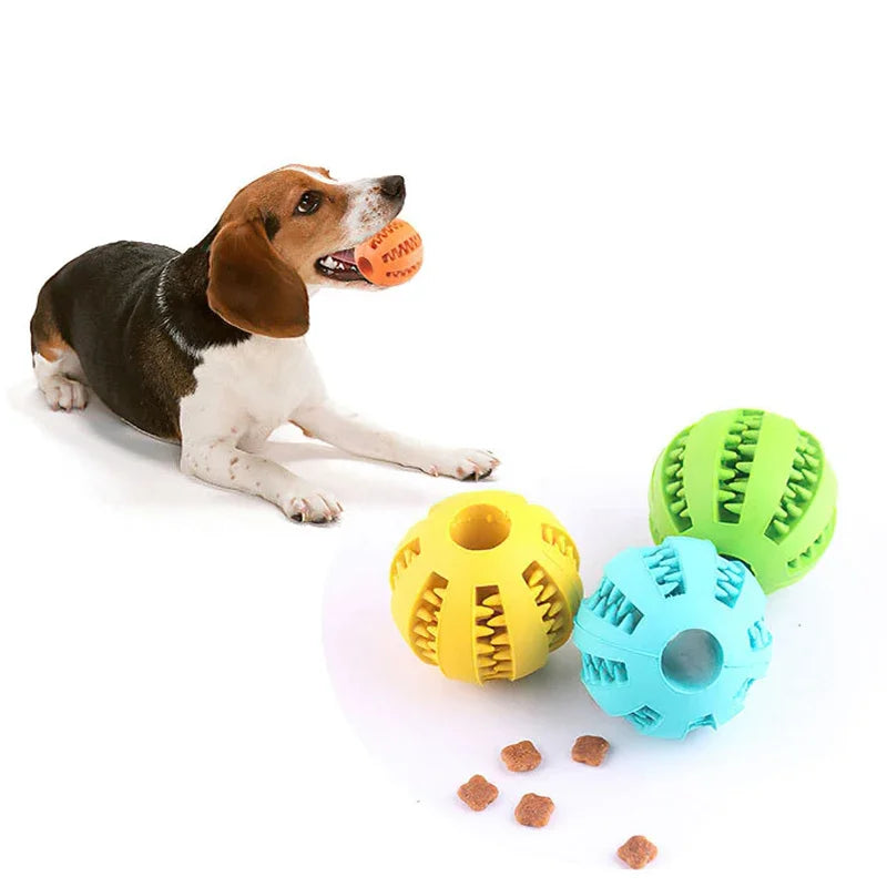 Bola de Brinquedo para PETS - O Chico Tem