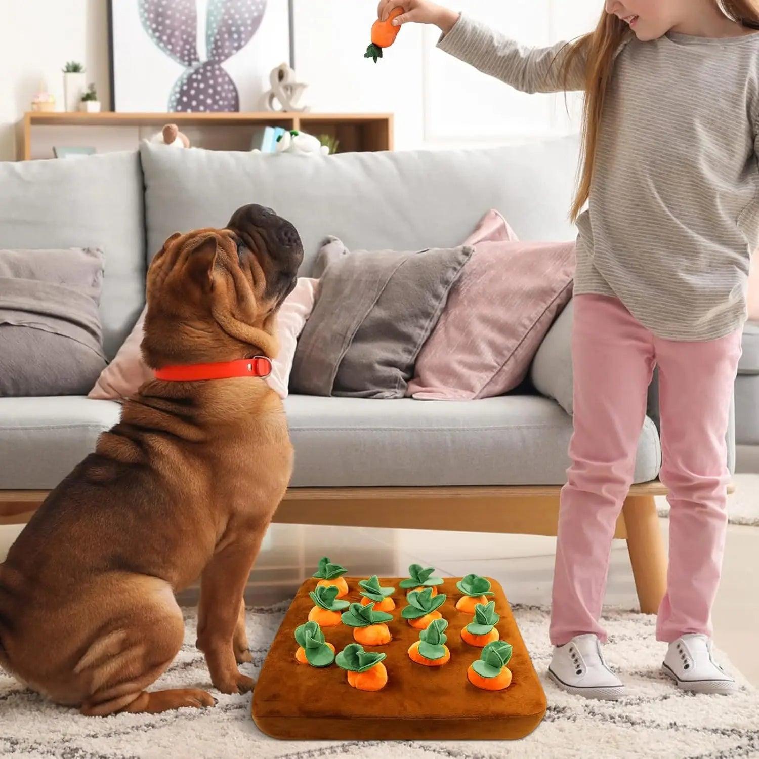 Horta de Pelúcia para PETS - O Chico Tem