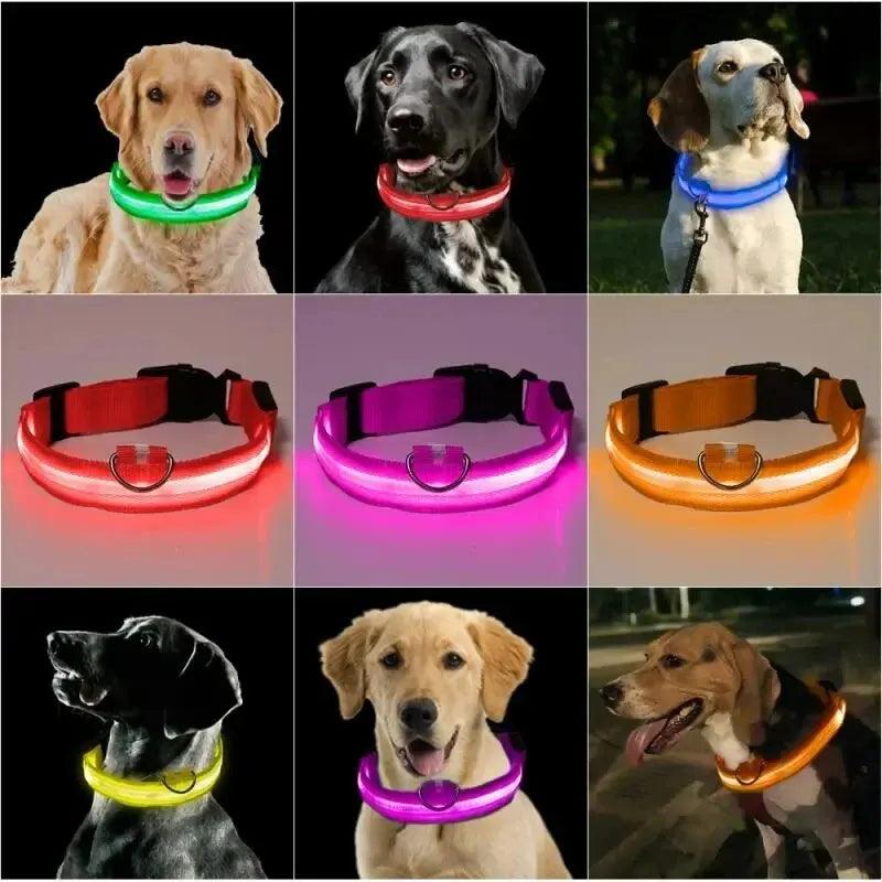 Coleira para pet Led Brilhante - O Chico Tem