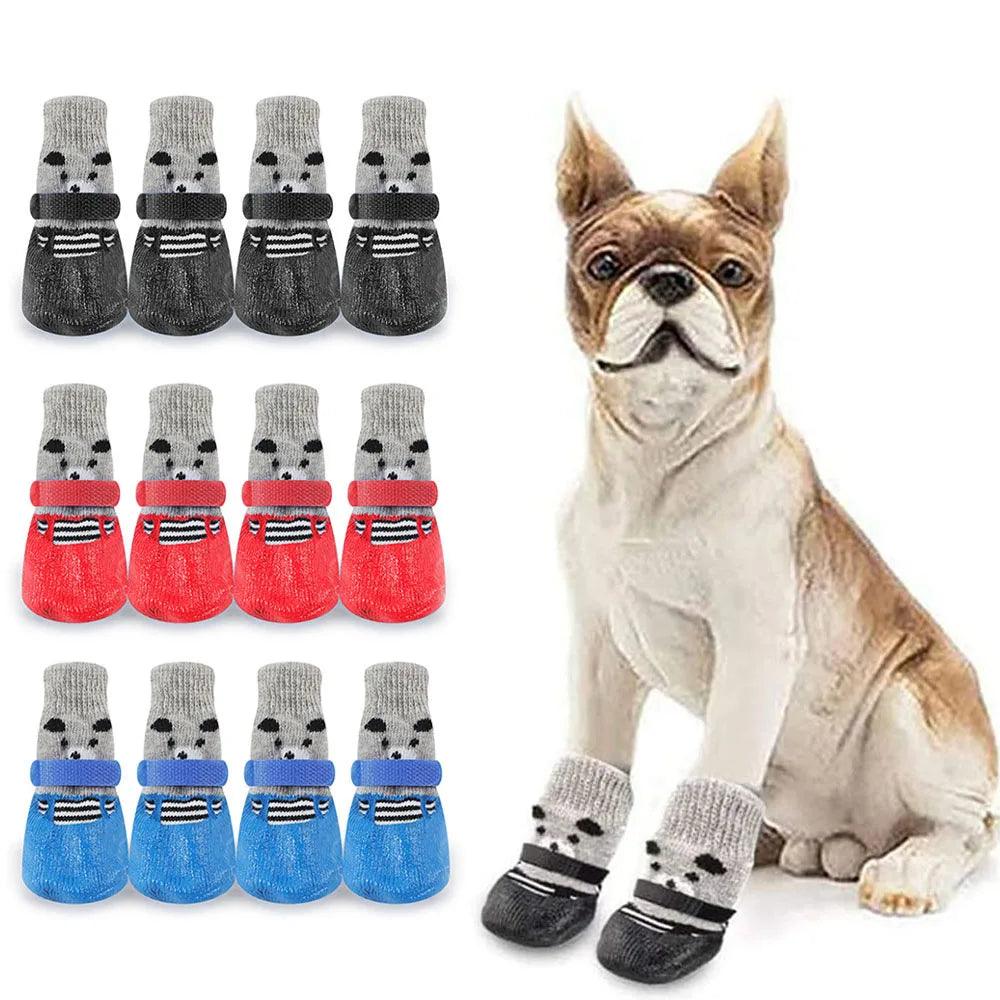 Meias Impermeáveis para PETS - O Chico Tem