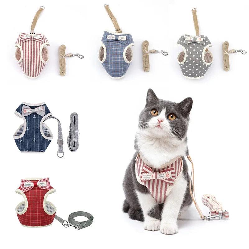 Conjunto Peitoral e Guia para Gatos - O Chico Tem