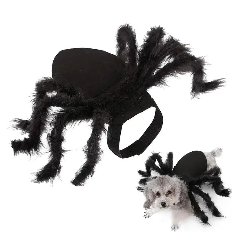 Fantasia de Aranha para PETS - O Chico Tem