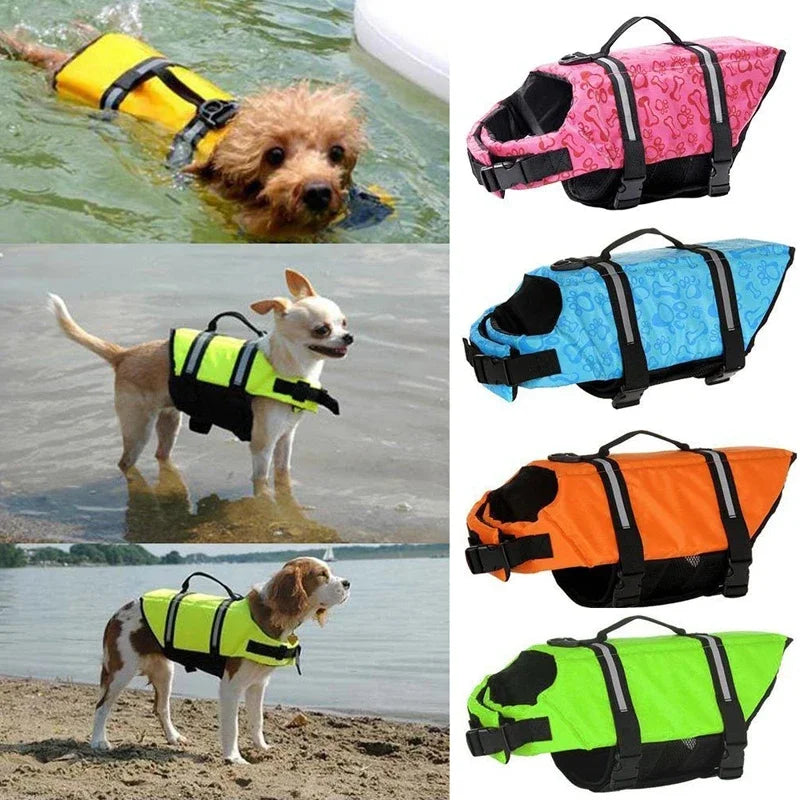 Colete Salva-Vidas para PETS - O Chico Tem
