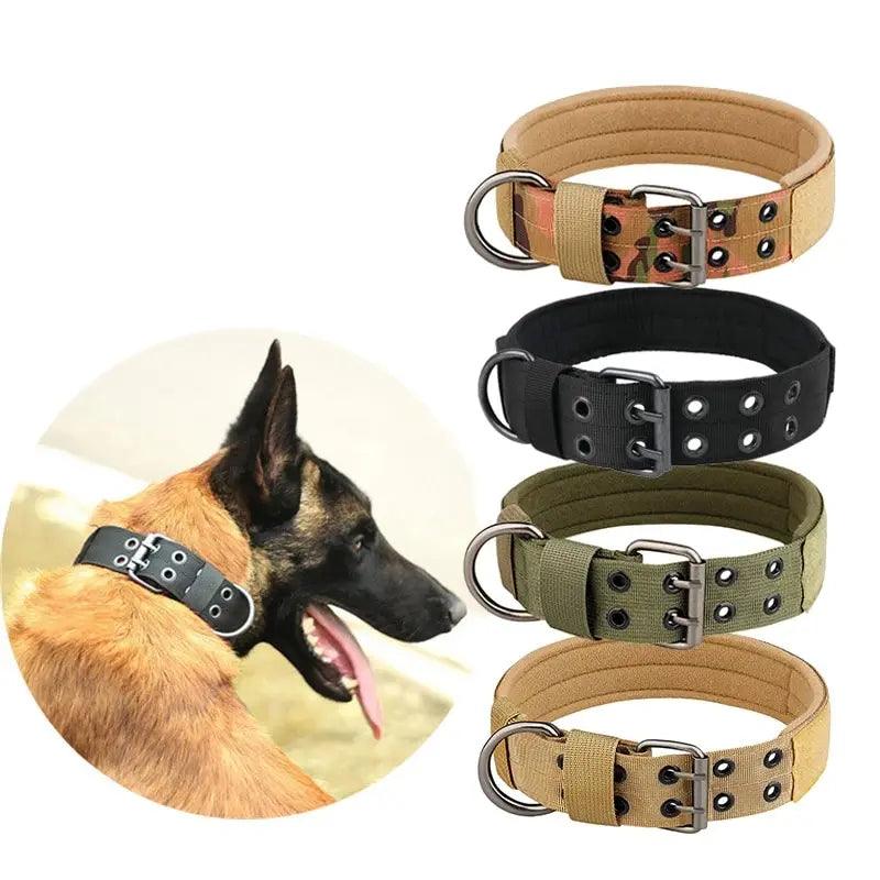 Coleira de Nylon Para Cães - O Chico Tem