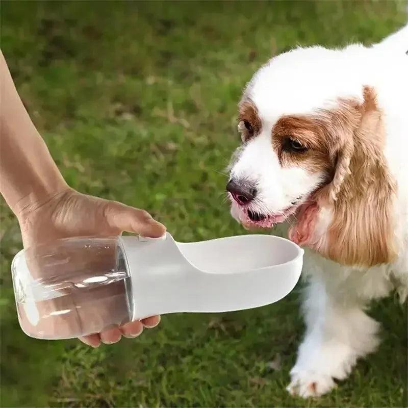 Bebedouro Portátil para PETS - O Chico Tem