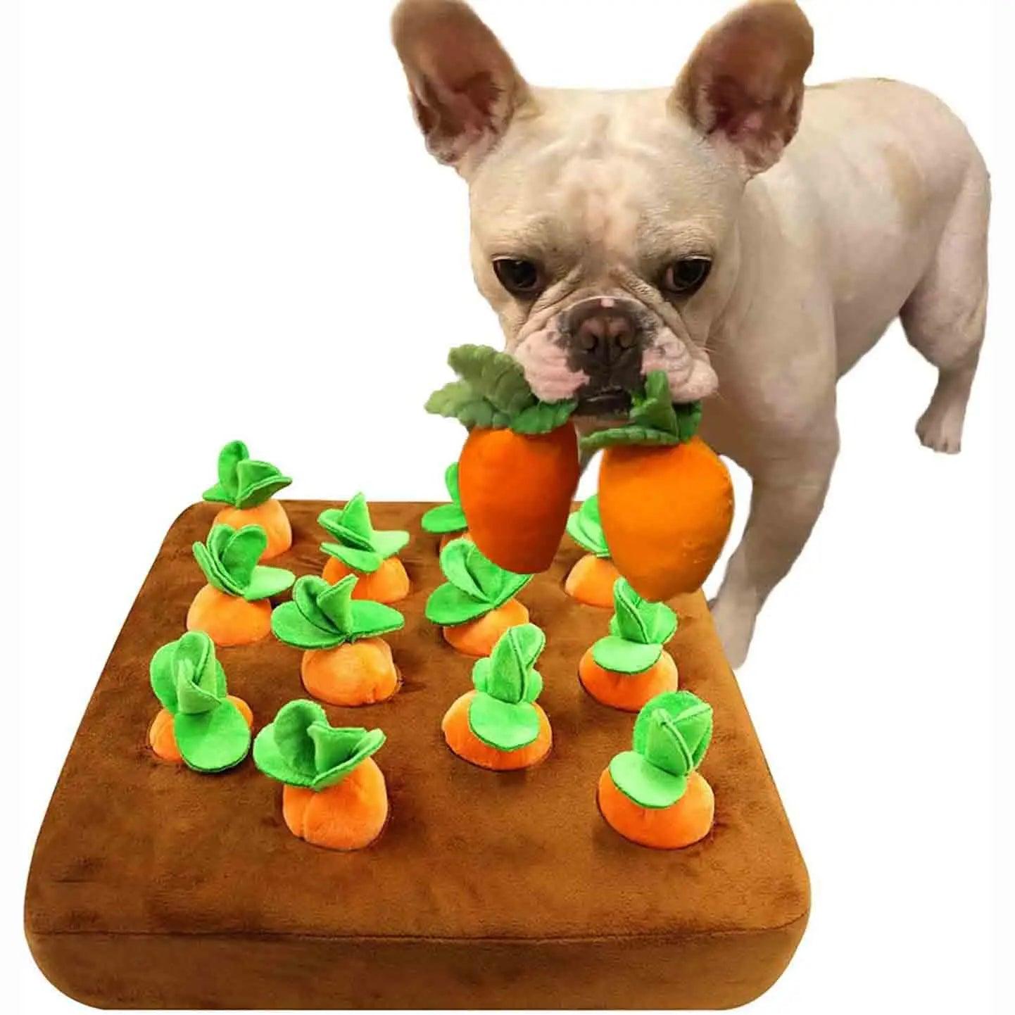 Horta de Pelúcia para PETS - O Chico Tem