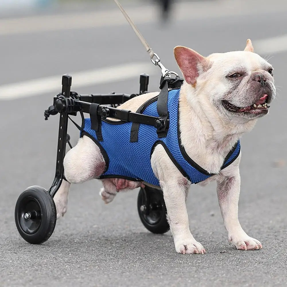 Carrinho para animais de estimação ajustável perna traseira deficientes cão de estimação mobilidade ajuda luz reabilitação pernas pet cadeira de rodas caminhada carrinho ferramentas