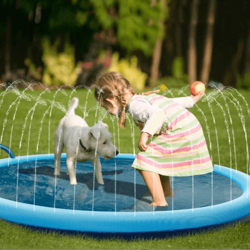 Piscina Para PET - O Chico Tem