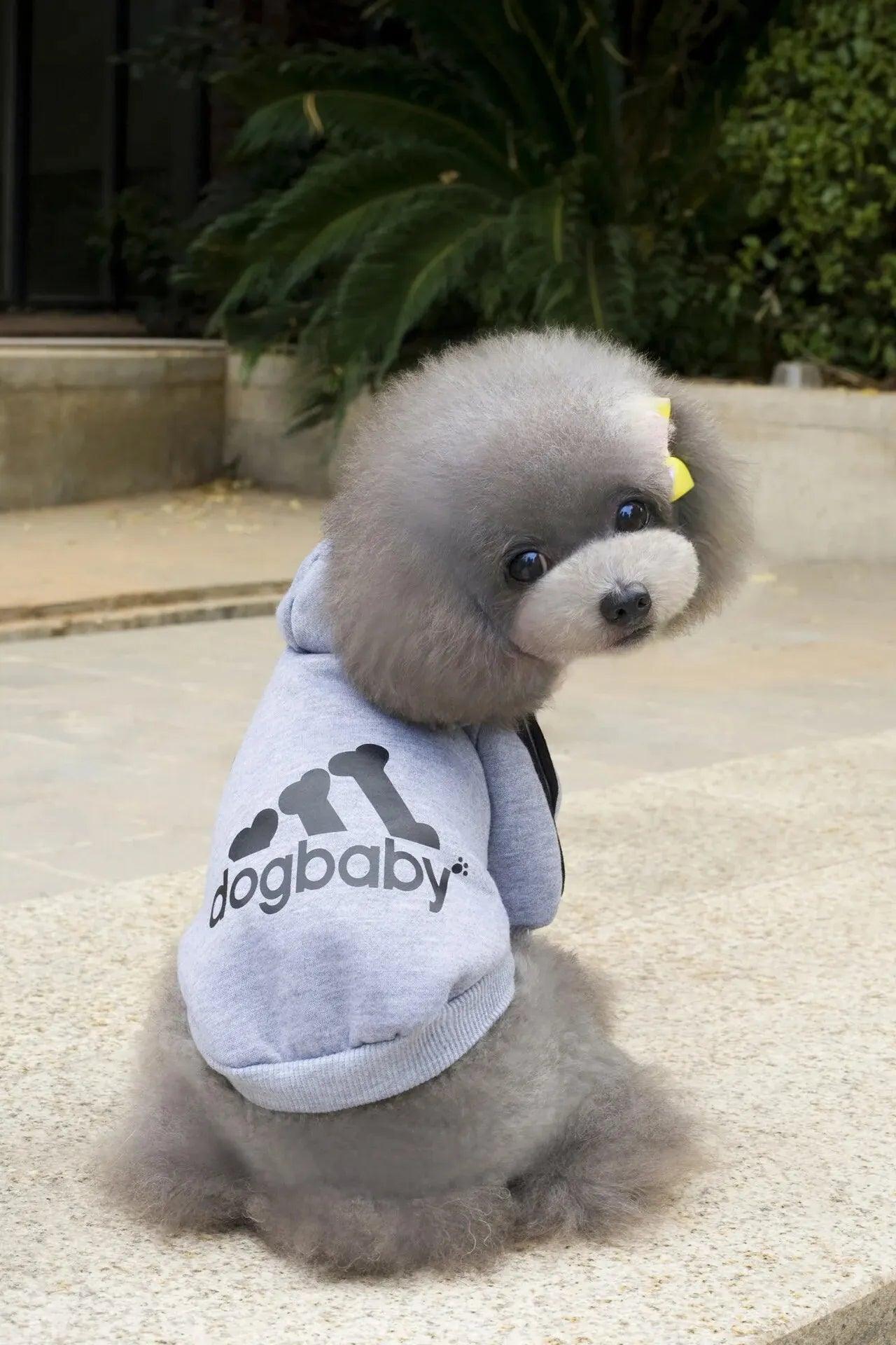 Roupa Para PETS - O Chico Tem