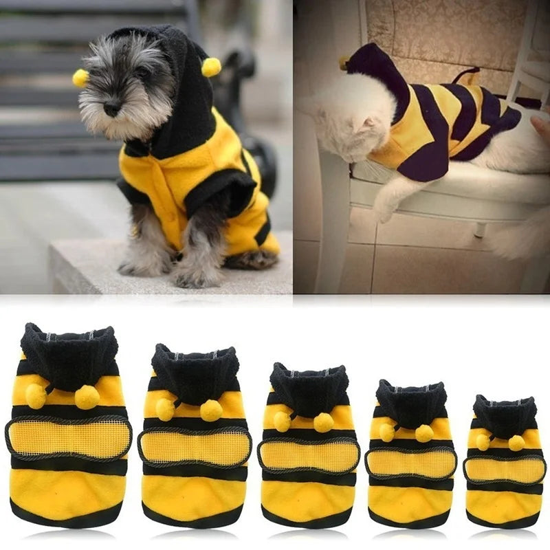 Roupa de Abelhinha para PETS - O Chico Tem