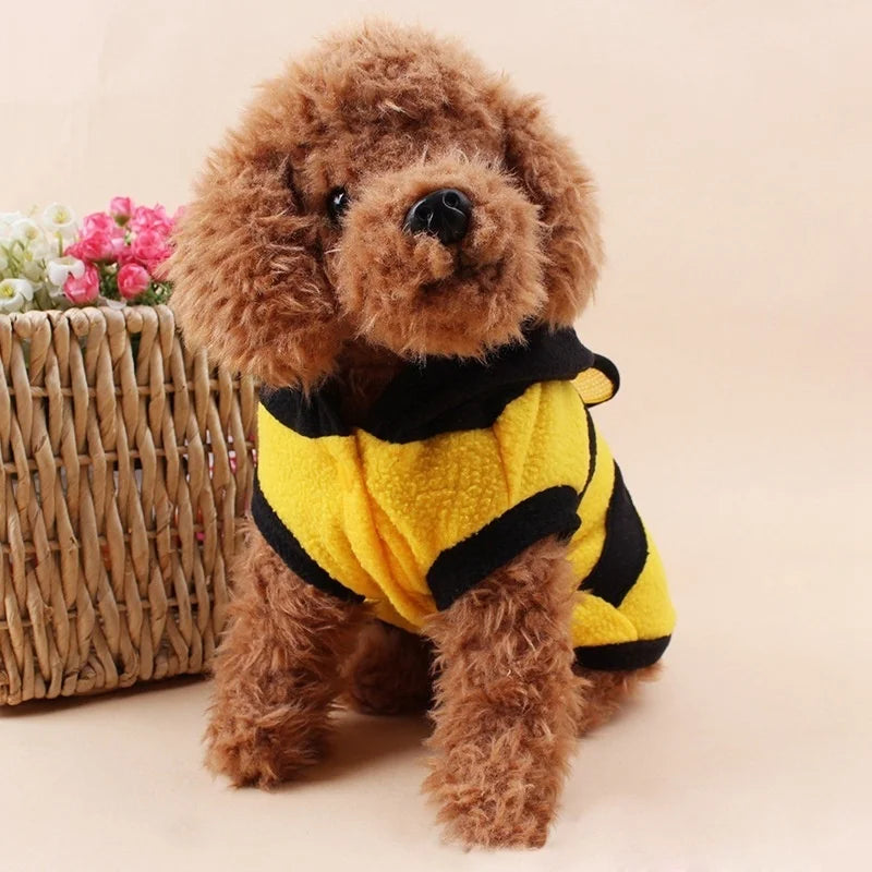 Roupa de Abelhinha para PETS - O Chico Tem