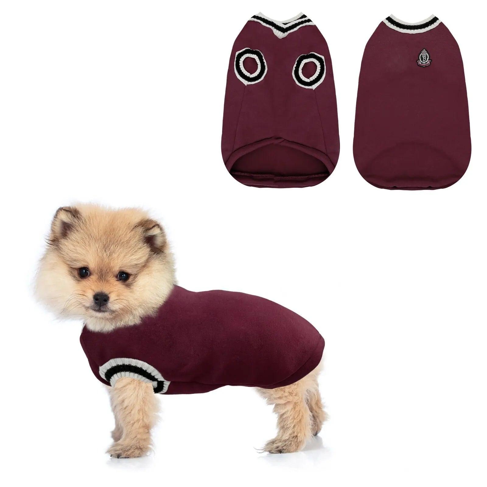 Colete para Cachorro - O Chico Tem