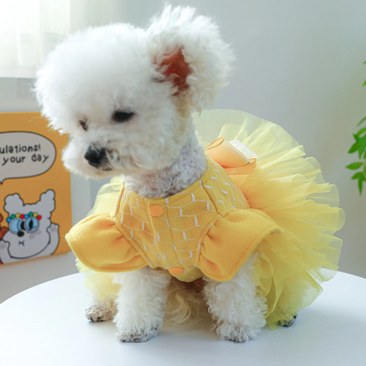 Vestido de Princesa para PET - O Chico Tem