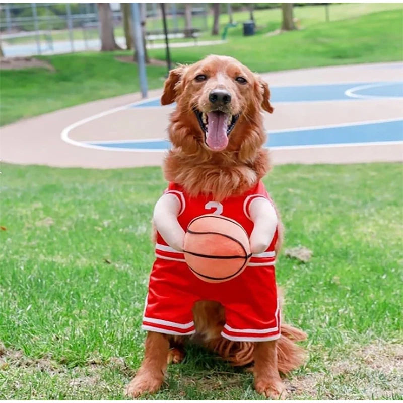 Roupa de Basquete para PETS - O Chico Tem