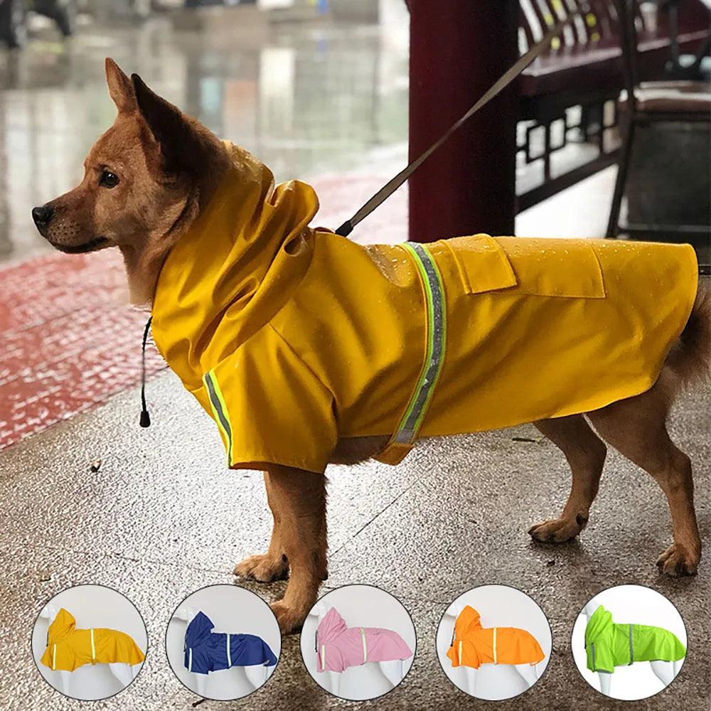 Capa de chuva com capuz para cães - O Chico Tem