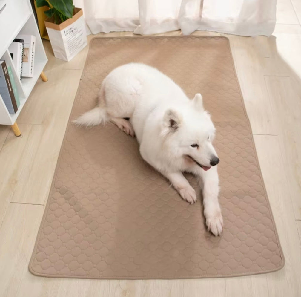 Tapete de Xixi Lavável e Reutilizável para PETS - O Chico Tem