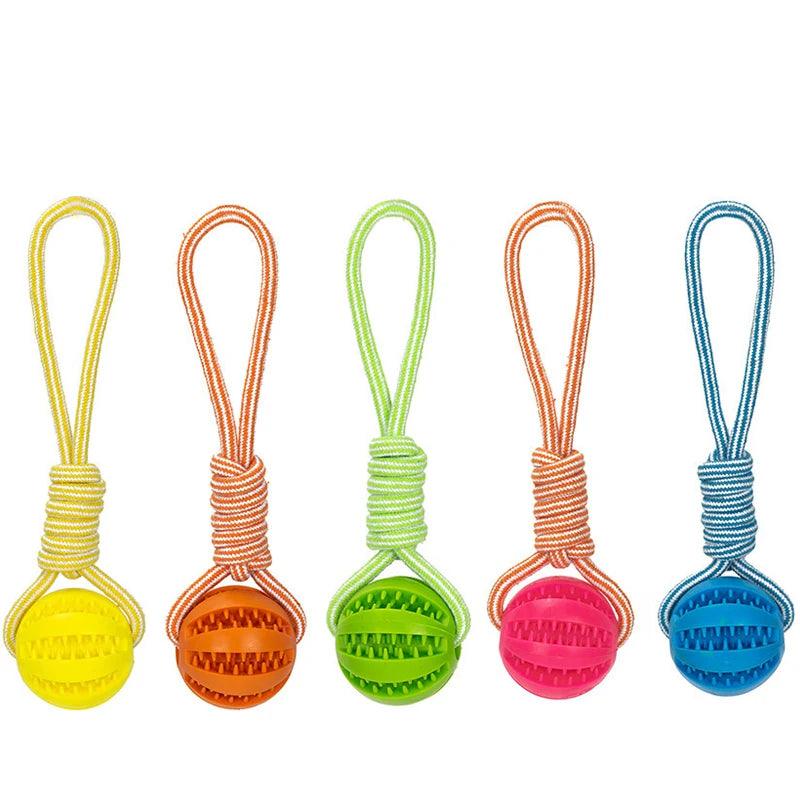 Bola Encaixe Petiscos com Corda para PETS - O Chico Tem