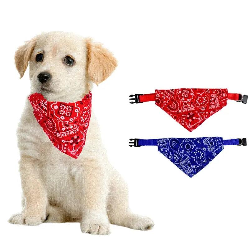 Lencinhos Tipo Bandanas de Pescoço para PETS - O Chico Tem