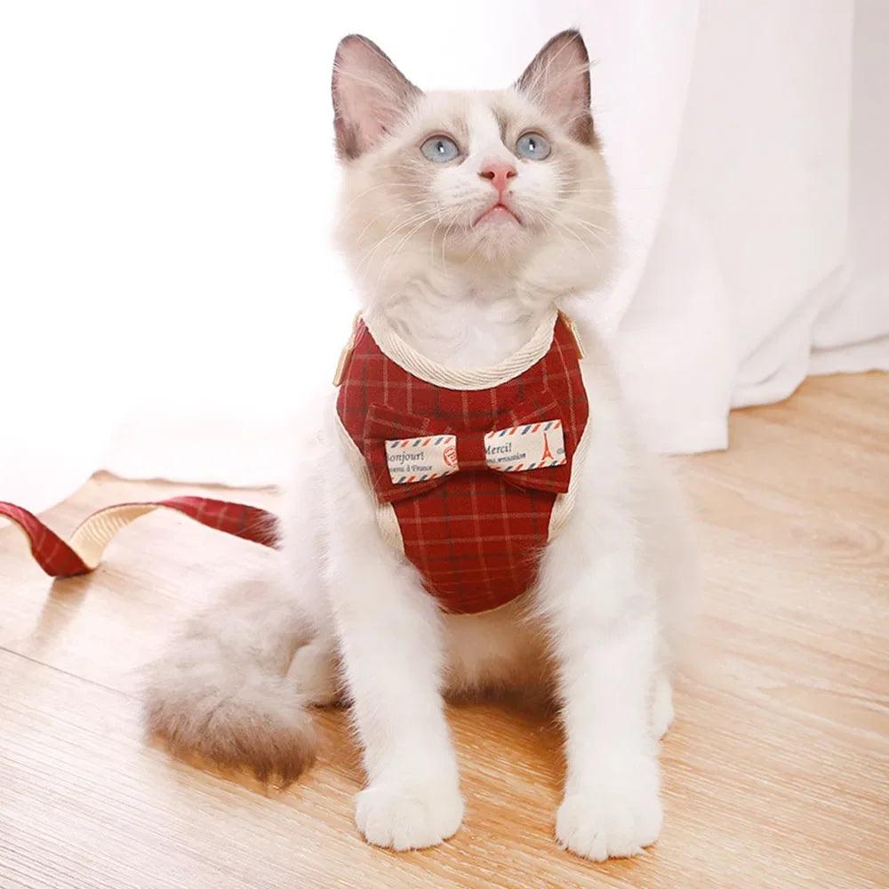 Conjunto Peitoral e Guia para Gatos - O Chico Tem